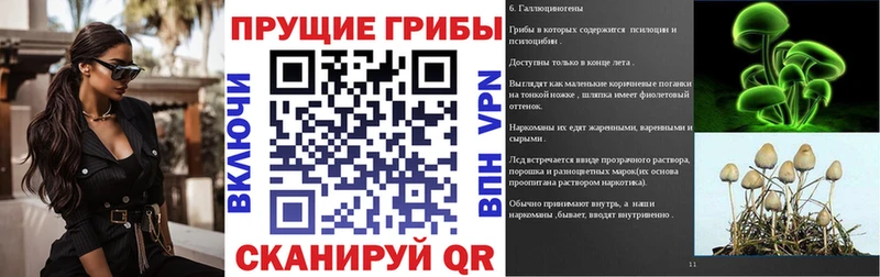 Купить закладки  Болохово  Псилоцибиновые грибы Psilocybine cubensis 